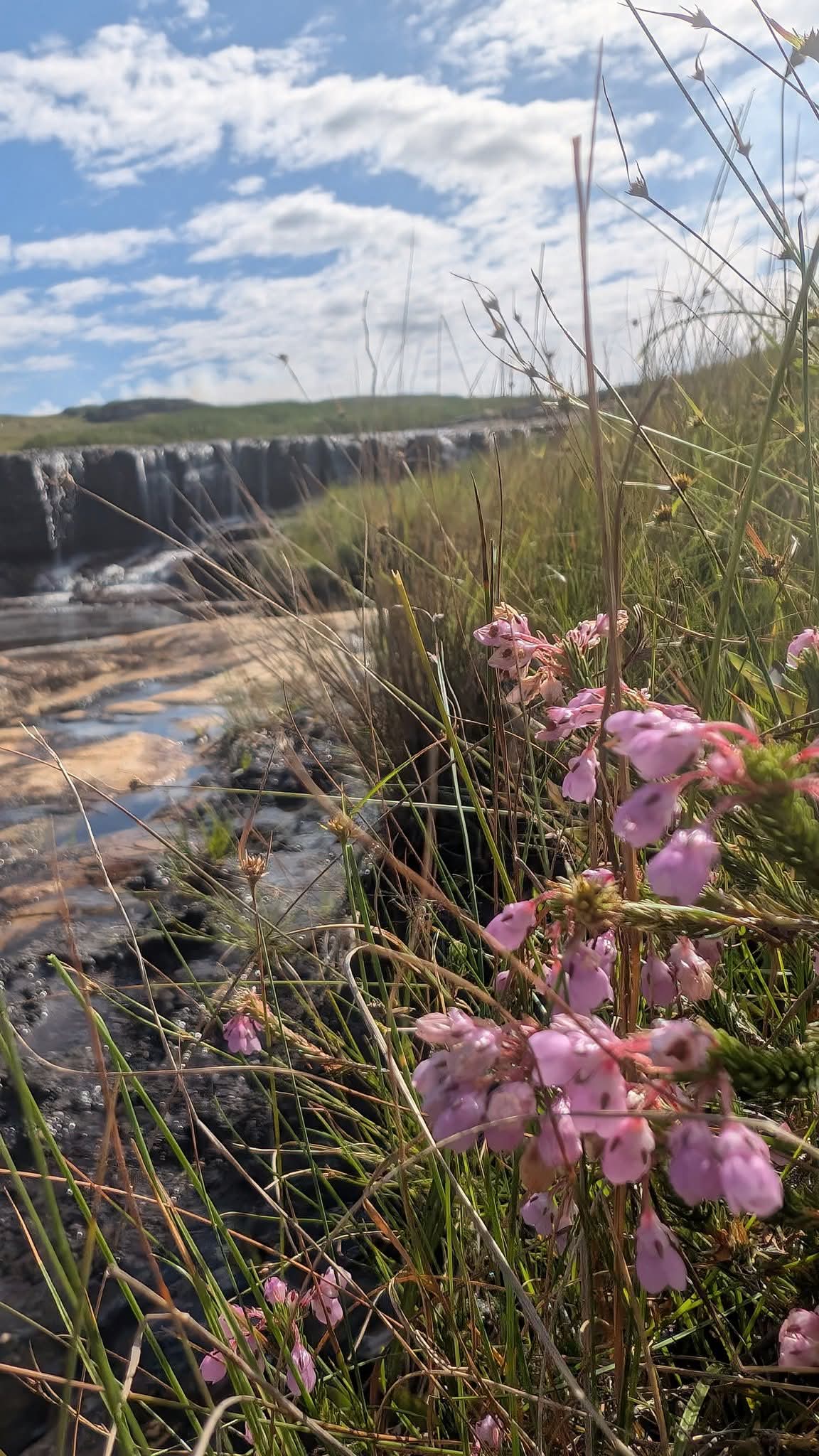 Wild Coast landscape 5 - Pristine beaches and dramatic cliffs of Mpondoland